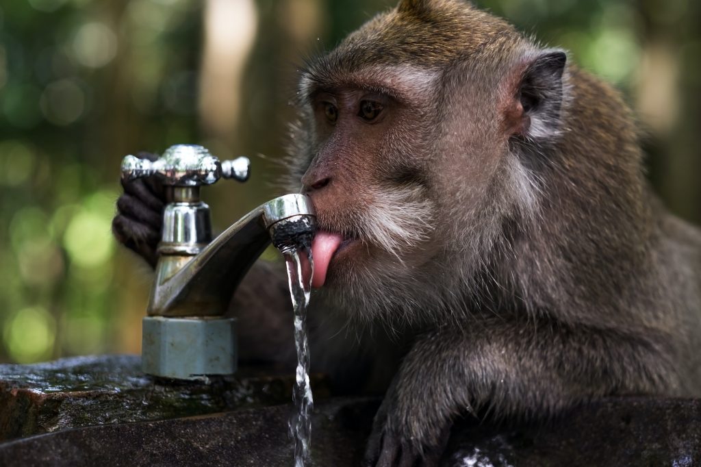 The Importance of Drinking Enough Water for Your Health The Importance of Drinking Enough Water for Your Health