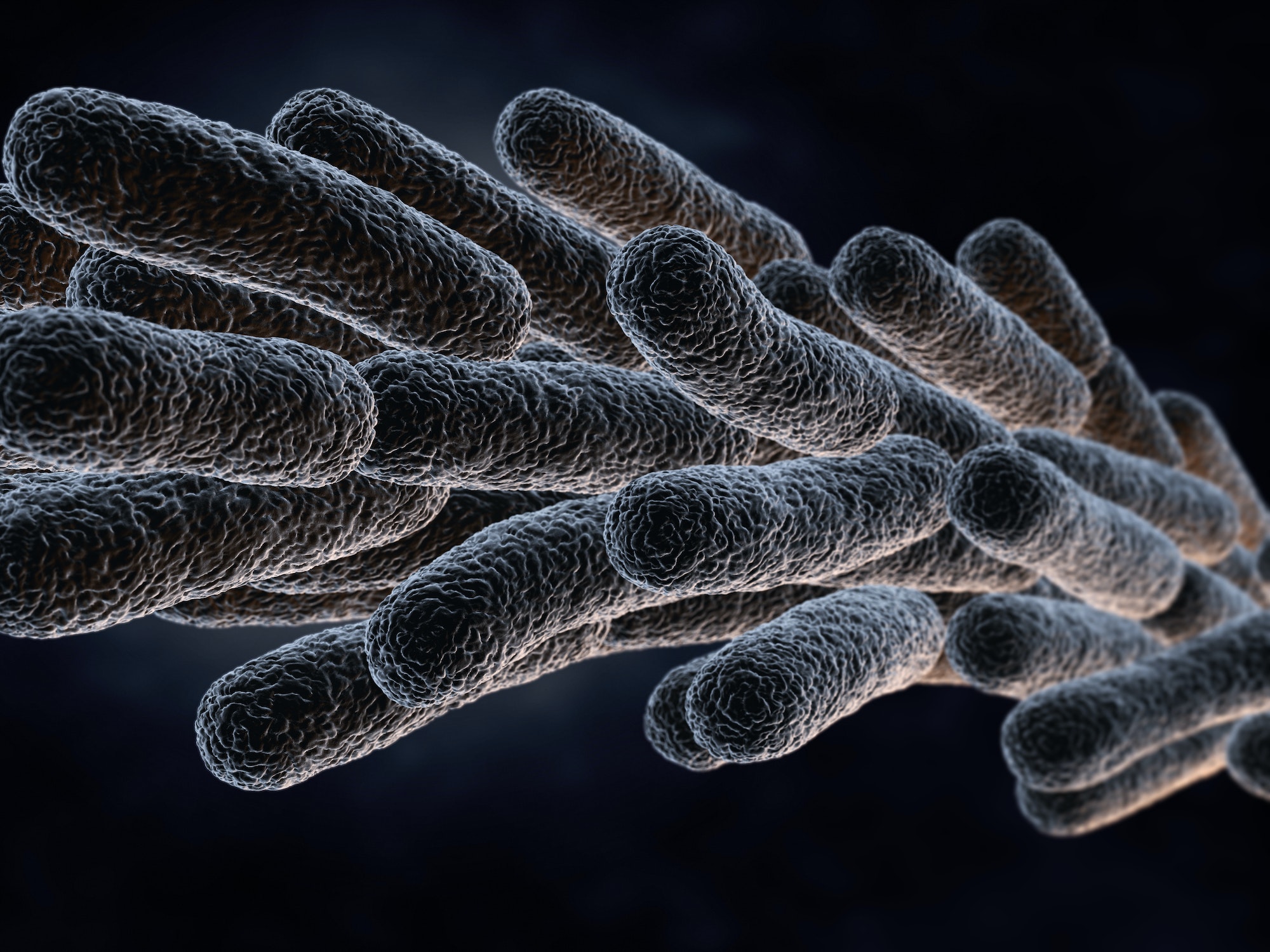 The Dangers of Legionella Contamination in Your Water Supply Pure