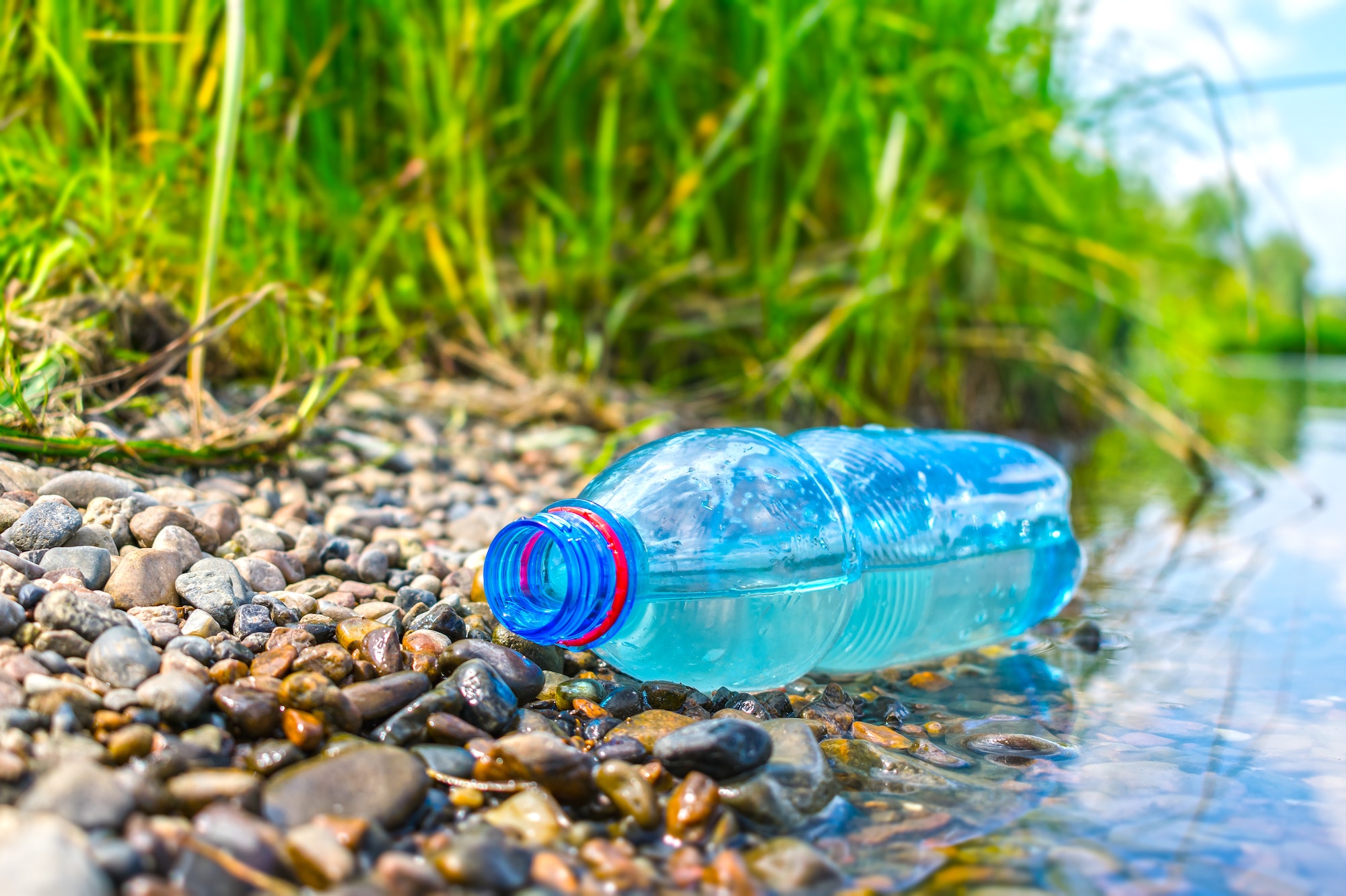 The problem of environmental pollution with plastic. A plastic bottle discarded on the riverbank